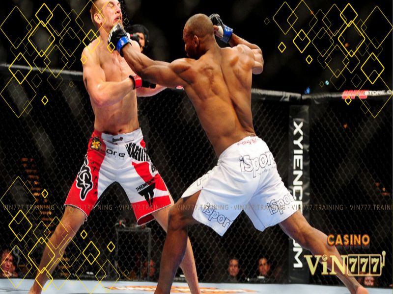 Cá cược boxing đỉnh cao - Chiến đấu trong thế giới quyền anh Cá cược boxing đỉnh cao - Chiến đấu trong thế giới quyền anh