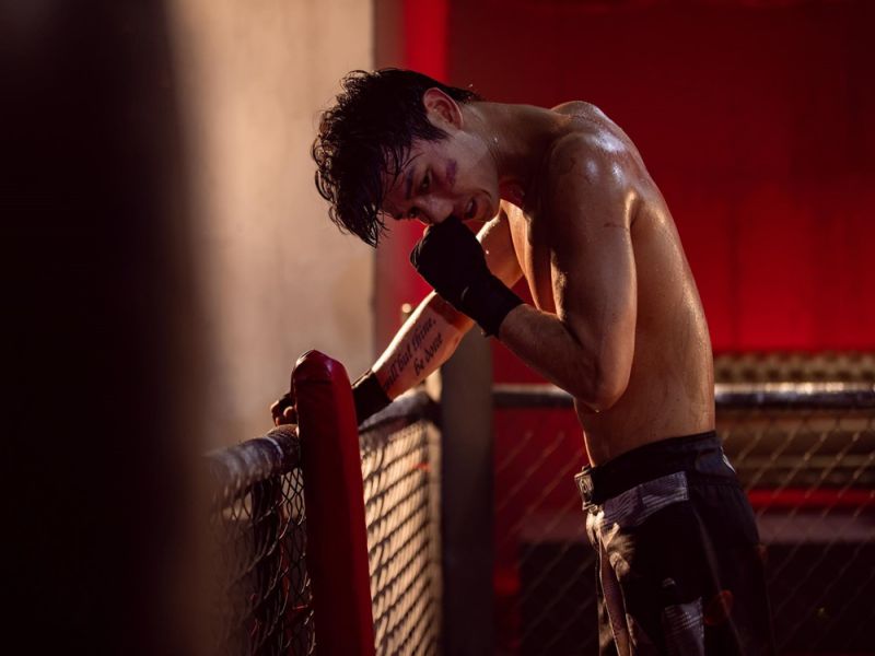 Cách tham gia chơi cá cược boxing Cách tham gia chơi cá cược boxing