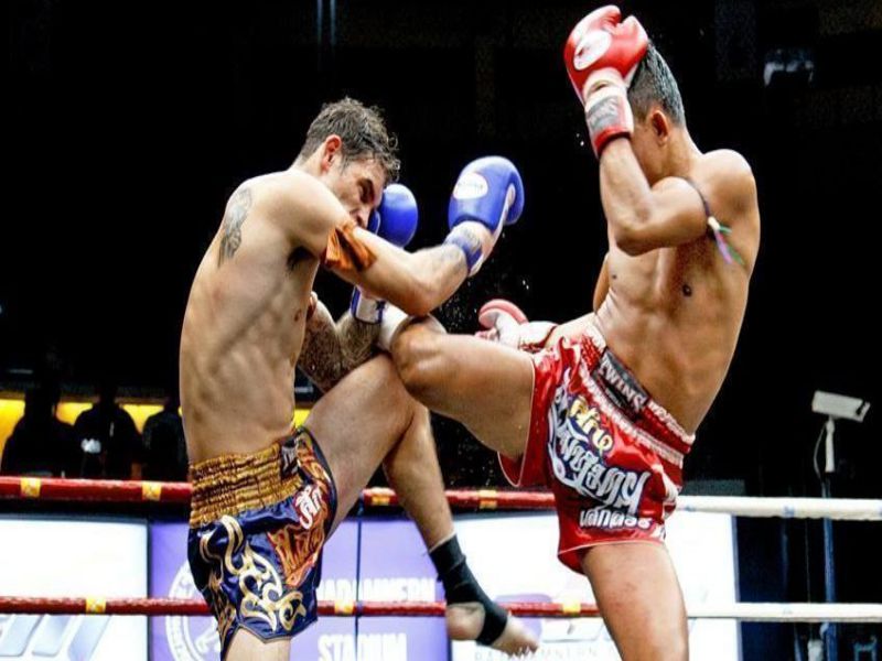 Đấu trường cá cược boxing nảy lửa Đấu trường cá cược boxing nảy lửa